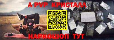 амф Сланцы