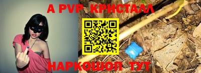 амф Сланцы