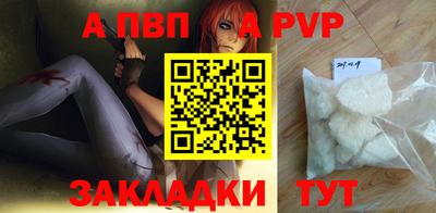 амф Сланцы